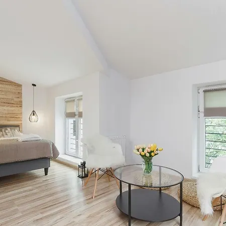 Starowislna 36 By Renters Apartment