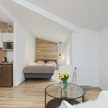 Starowislna 36 By Renters * Krakov