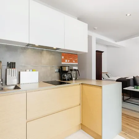 Starowislna 36 By Renters Apartmán Krakov